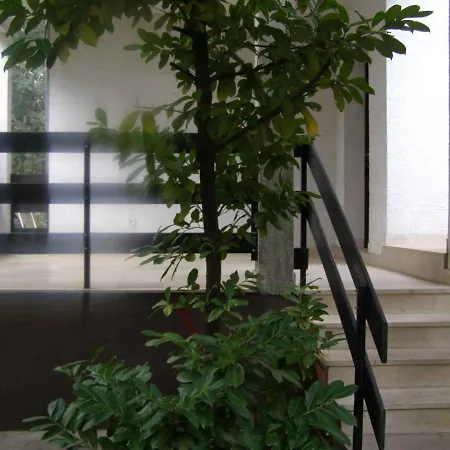 Apartmán In Petrcane/zadar Riviera 7866