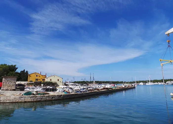 In - Zadar Riviera 7866